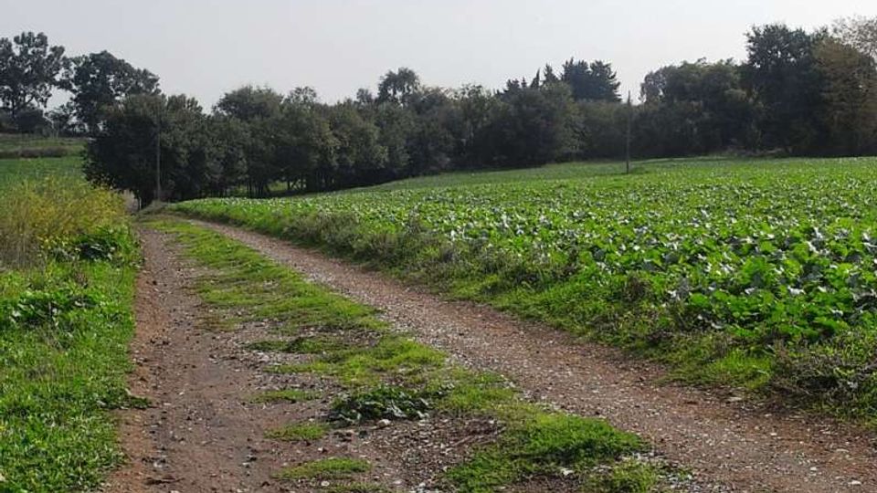 560-ae6f4f1d6c161140ea51658b36305a01jpg