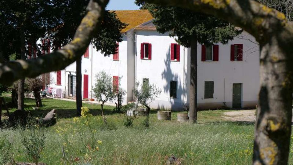 Casa rurale a due piani intonacata di bianco con persiane rosse e tetto in coppi, situata in un prato con alberi e vegetazione spontanea. In primo piano si vedono rami e tronchi che incorniciano l’edificio, con un cortile sterrato e alcuni elementi in cemento vicino all’ingresso.