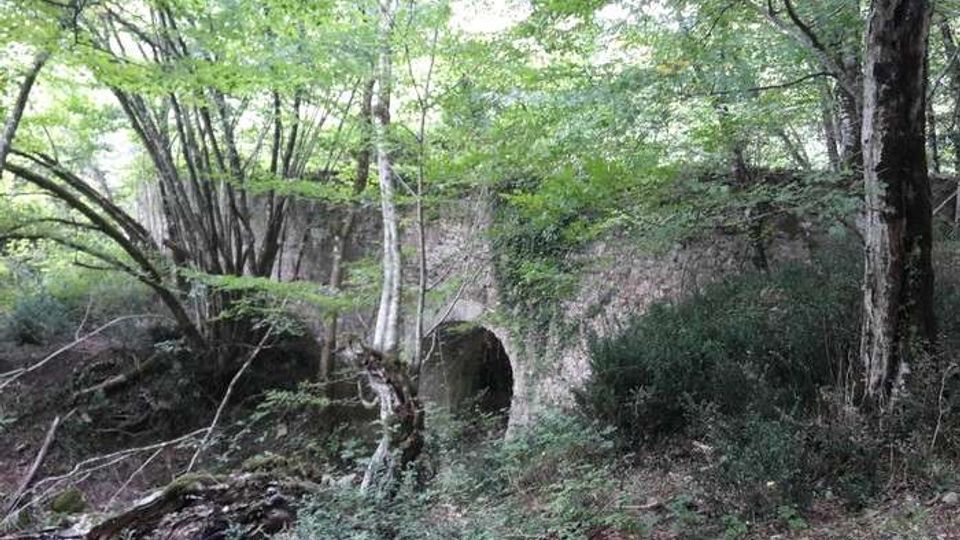 Ponte in pietra con un’unica arcata, parzialmente coperto da vegetazione, immerso in un bosco fitto con alberi alti e sottobosco. Il ponte attraversa un piccolo avvallamento o corso d’acqua in un’area naturale ombreggiata.