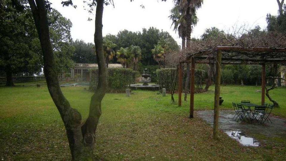 290-c92b665d8f9fa04f4f02bd7083439489jpg