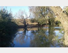 51838-photo-12650525-920368894737625-1260822070-n-jpgjpg