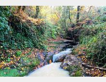 51896-photo-wp-20161126-15-32-07-pro-jpgjpg