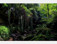 51897-photo-35-sorgente-del-cremera-4-1024x675-jpgjpg