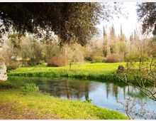 987-d5a80673fd459832903fd64d2aa5354ejpg