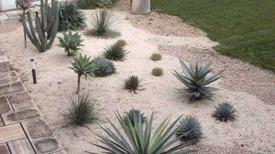 Cortile esterno di un edificio moderno con pavimentazione in lastre e aiuola di ghiaia con piante succulente e agavi. Sullo sfondo si vedono grandi vetrate e un elemento cilindrico metallico vicino alla facciata.