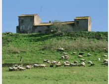 52038-photo-valledeicasali06-jpgjpg