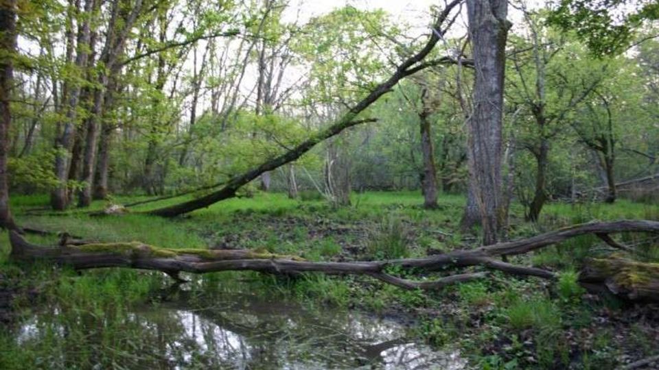 51860-photo-timthumb-jpgjpg