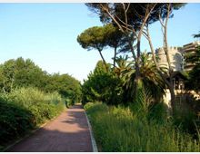 Sentiero asfaltato in un’area verde, circondato da vegetazione alta e alberi mediterranei come pini e palme. Sullo sfondo si intravede un edificio in pietra con torretta circolare e merli, parzialmente nascosto tra gli alberi.