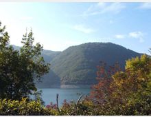 929-f20ffaf26772ebbad7eb58b52e07bd84jpg