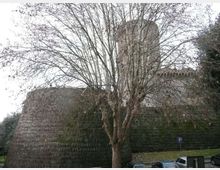 Mura di una fortificazione in pietra con base arrotondata e torre cilindrica sullo sfondo, parzialmente coperta dai rami di un grande albero spoglio. In basso si vede una strada con alcune auto parcheggiate e un cartello di parcheggio.