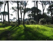 51934-photo-17949874-jpgjpg