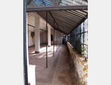 Interno di una serra o corridoio coperto con tetto inclinato a travi e pilastri sottili in metallo, pavimento in pietra e pareti bianche. Sul lato destro corre una lunga vetrata con telai scuri e vegetazione rampicante, con una porta ad arco sul fondo.
