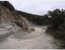 612-e33500d16ad192d43f6a1a4d5c36b39ajpg