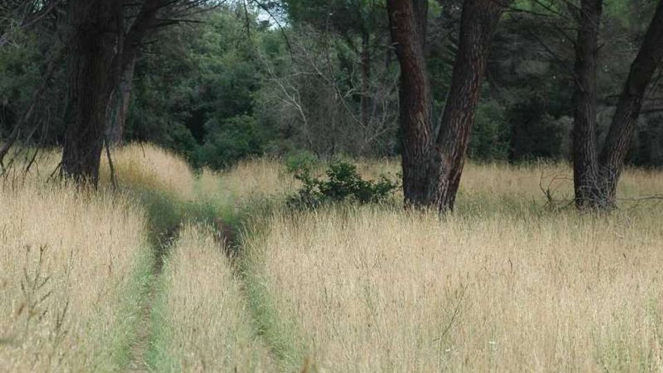 51932-photo-9-jpg-20161120153028-9-jpgjpg