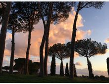 Bosco su lieve pendio con alti pini marittimi e cipressi in controluce. Sullo sfondo cielo al tramonto con nuvole illuminate e orizzonte lontano.