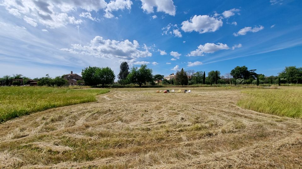 Ampio campo agricolo con erba tagliata e andane di fieno in primo piano. Sullo sfondo si vedono alberi e alcune case di campagna sotto un cielo azzurro con nuvole sparse.