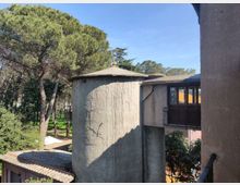 58076-photo-img-20210311-121956-jpgjpg