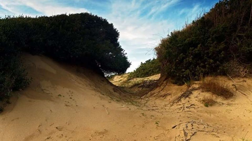 51856-photo-dune-800-jpgjpg