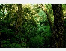 52049-photo-insugherata-8700-jpgjpg