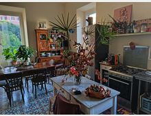 Cucina-sala da pranzo luminosa con pavimento a piastrelle decorative, tavolo in legno e molte piante vicino alle finestre. A destra si vedono un’isola con piano in marmo, una cucina a gas con forno e scaffali con barattoli e oggetti.