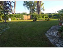 Giardino privato con ampio prato e siepe perimetrale, con alberi alti e piante in vaso. In primo piano si vedono un vialetto in pietra e un percorso di pietre nel prato, con un cancello in legno sullo sfondo.
