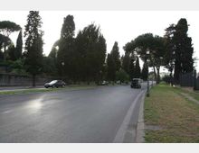 Ampio viale asfaltato quasi vuoto, fiancheggiato da alti alberi e lampioni, con marciapiede e fascia di prato sul lato destro. Sullo sfondo si intravedono alcuni veicoli e una recinzione lungo la strada.