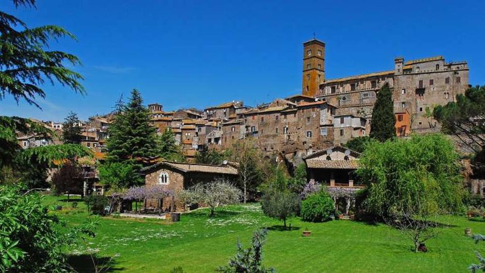 Veduta panoramica di un borgo medievale in pietra su una collina, con case addossate e una torre campanaria alta che domina il centro abitato. In primo piano si estende un prato verde con alberi e piccoli edifici rurali, sotto un cielo sereno.