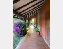 Portico esterno con pavimento in cotto e tetto a falde con travi in legno, affiancato da una parete color terracotta con porte in legno e pilastri in mattoni. Lungo il corridoio ci sono vasi e piante, con una fitta siepe fiorita viola sul lato del giardino.