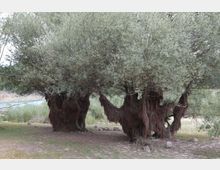 49502-photo-6-jpgjpg