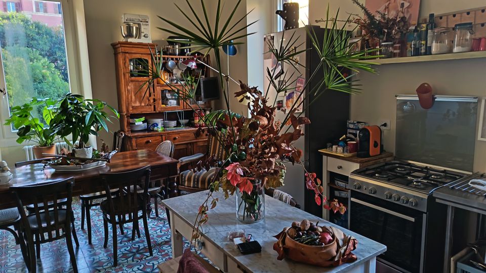 Cucina-sala da pranzo luminosa con pavimento a piastrelle decorative, tavolo in legno e molte piante vicino alle finestre. A destra si vedono un’isola con piano in marmo, una cucina a gas con forno e scaffali con barattoli e oggetti.