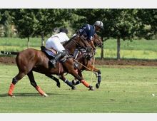Campo da polo in erba con ampio prato e filari di alberi sullo sfondo. In primo piano si vedono cavalli in corsa con attrezzatura da gioco e una pallina bianca sul terreno.