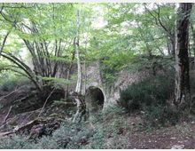 Ponte in pietra con un’unica arcata, parzialmente coperto da vegetazione, immerso in un bosco fitto con alberi alti e sottobosco. Il ponte attraversa un piccolo avvallamento o corso d’acqua in un’area naturale ombreggiata.