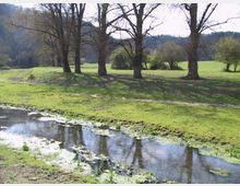 Prato alberato con grandi alberi spogli e un ruscello poco profondo in primo piano, con riflessi sull’acqua e vegetazione lungo le sponde. Sullo sfondo si vedono colline boscose e campi aperti.