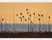 52093-photo-1477852-m-jpgjpg