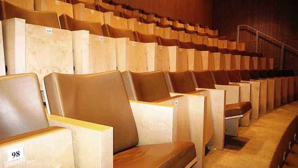 Interno di un auditorium o sala conferenze con file curve di poltrone numerate in legno chiaro e sedute marroni, disposte a gradoni. Pareti rivestite in legno e corrimano metallico lungo la scala laterale.