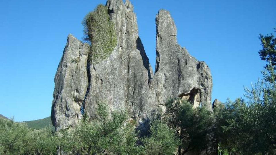 58384-photo-screenshot-4783-pngpng