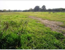 560-42b9c0dcd3cb78ddc8f196af11daaa98jpg