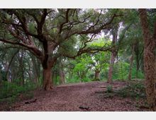 52105-photo-foto-11-700x464-jpgjpg