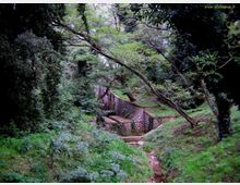 51863-photo-4212248f15644166c6063ab57127be60-jpgjpg