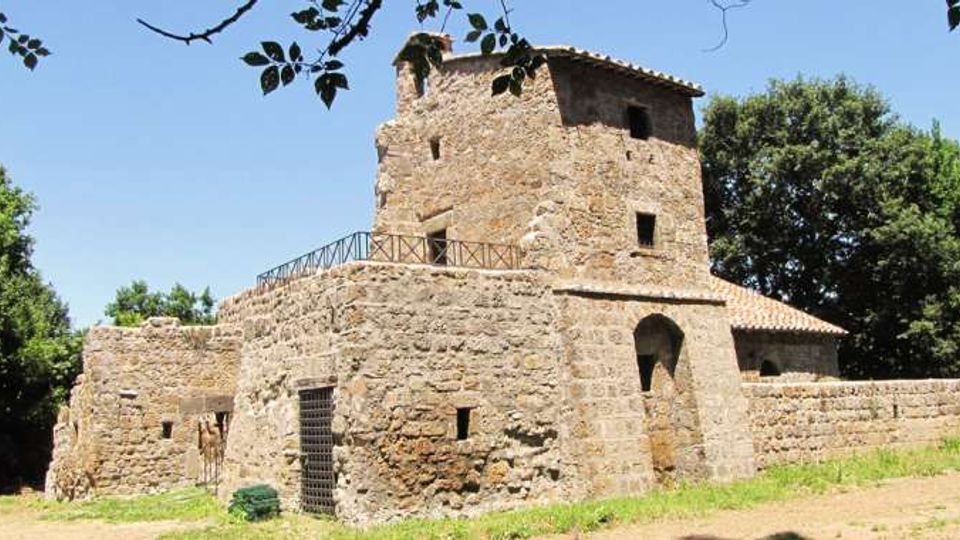 51805-photo-necropoli1-jpgjpg