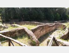 51936-photo-parco-urbano-pineta-di-jpgjpg