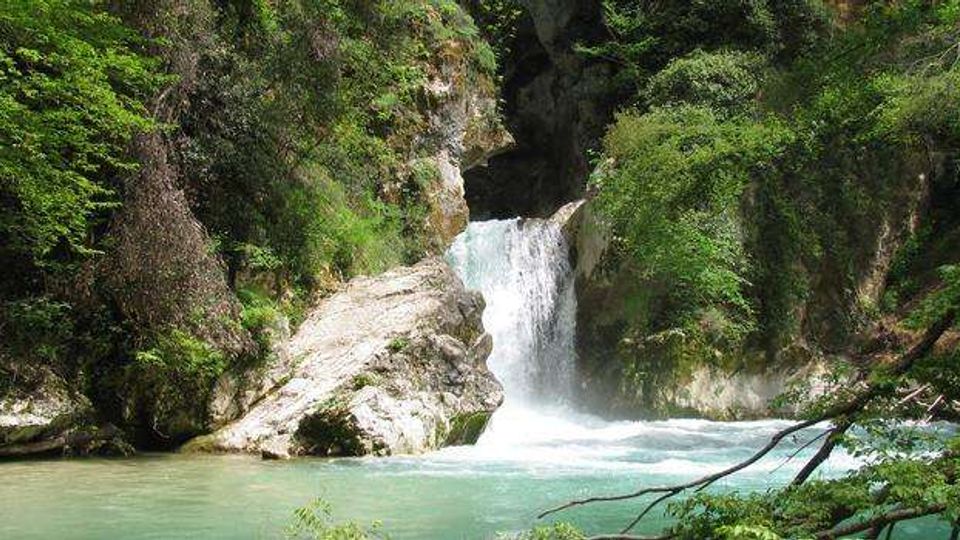 51852-photo-img-0194-jpgjpg