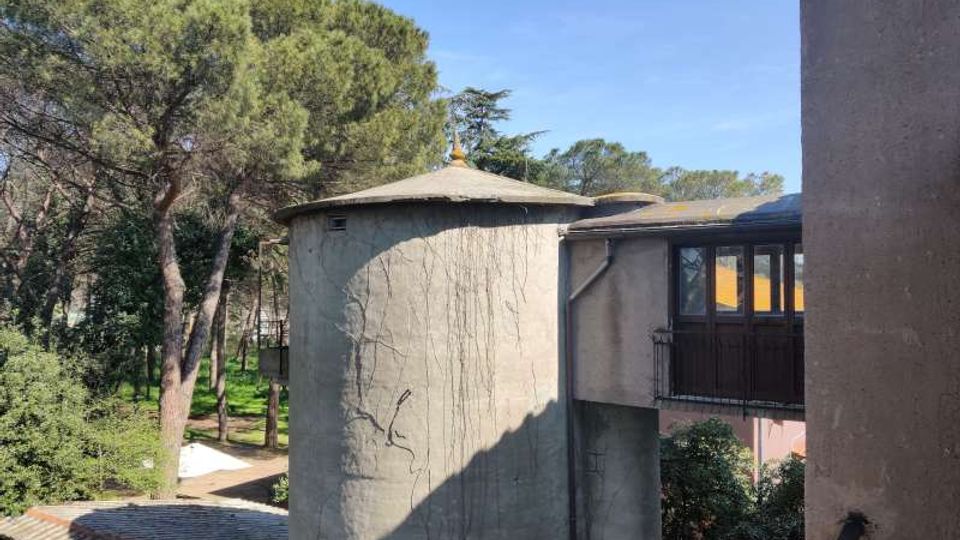 58076-photo-img-20210311-121956-jpgjpg