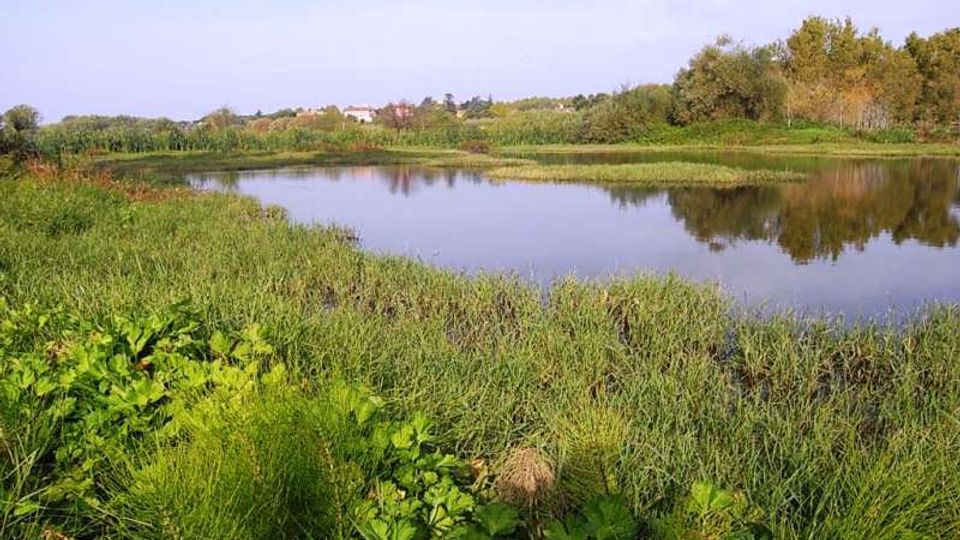 561-cda648f68e71ade8b167b9aff1f98281jpg