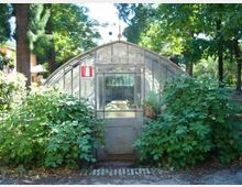 Piccola serra con struttura ad arco in metallo e vetro, con porta centrale e cartello “Estintore”, situata in un parco alberato. Fitta vegetazione e cespugli circondano l’ingresso, con un vialetto in primo piano.