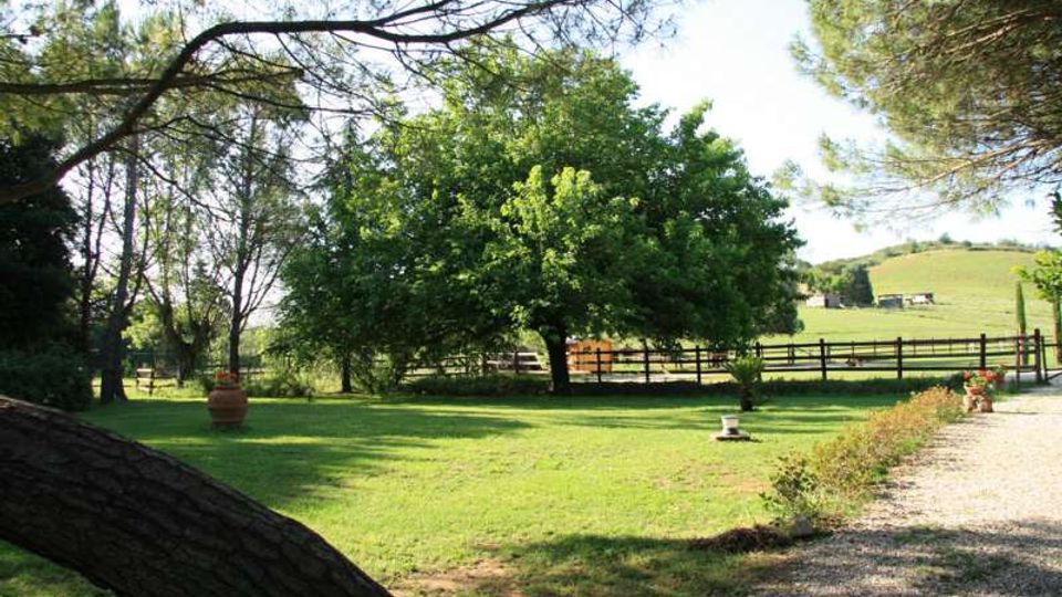 Ampio prato alberato in campagna con grandi alberi che fanno ombra e una recinzione in legno sullo sfondo. A destra si vede un vialetto di ghiaia con bordura di piante e, oltre la staccionata, campi ondulati e alcuni edifici rurali lontani.