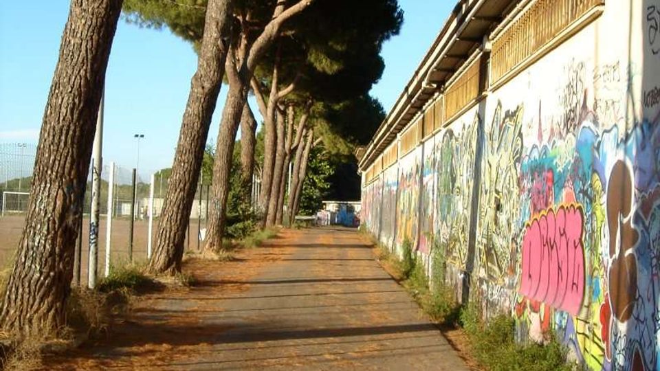 Vialetto asfaltato in un’area esterna, fiancheggiato a sinistra da alti pini e a destra da un lungo edificio con pareti coperte di graffiti colorati. Sullo sfondo si intravedono recinzioni e strutture sportive, con ombre degli alberi che attraversano il percorso.