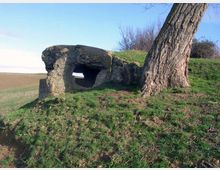 52069-photo-dscn5146-jpgjpg