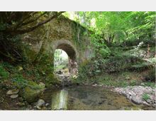 Ponte ad arco in pietra in un’area boschiva, con apertura centrale che attraversa un piccolo ruscello poco profondo e sassoso. Vegetazione fitta e alberi ombreggiano le sponde e il corso d’acqua.