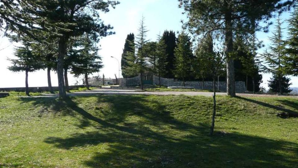 Area verde in leggera pendenza con prato e alti pini che proiettano ombre lunghe. In alto si vede un vialetto con muretto in pietra e cancello, circondato da altri alberi sempreverdi.